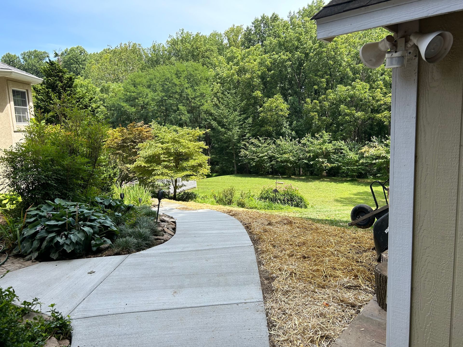 A concrete walkway leads from a building exterior through a yard toward a lush, sunlit tree line.