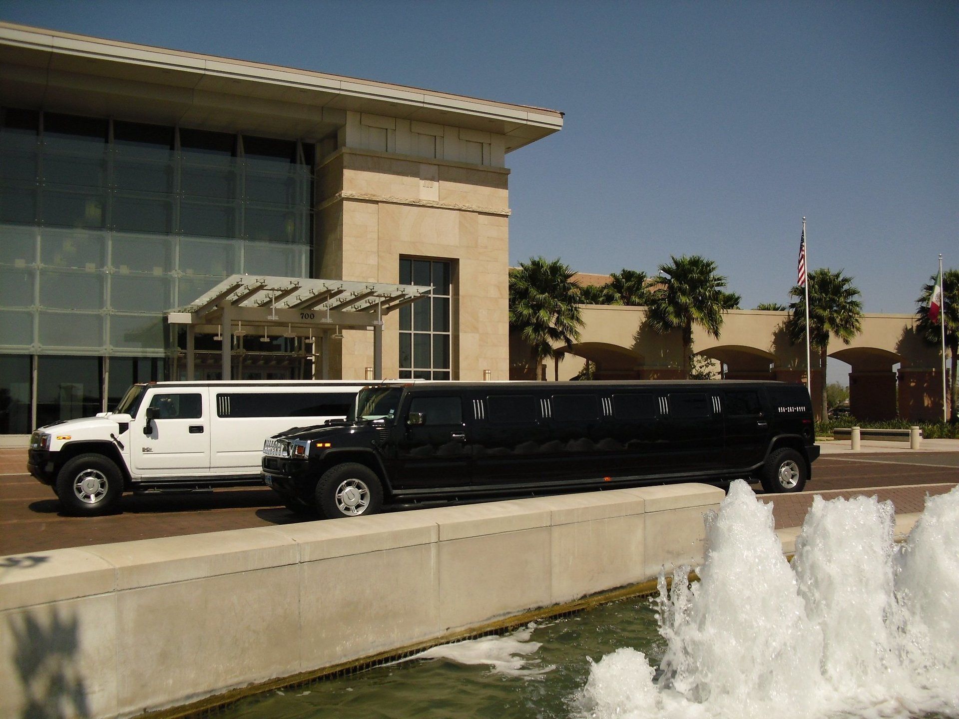 Black and white limousines