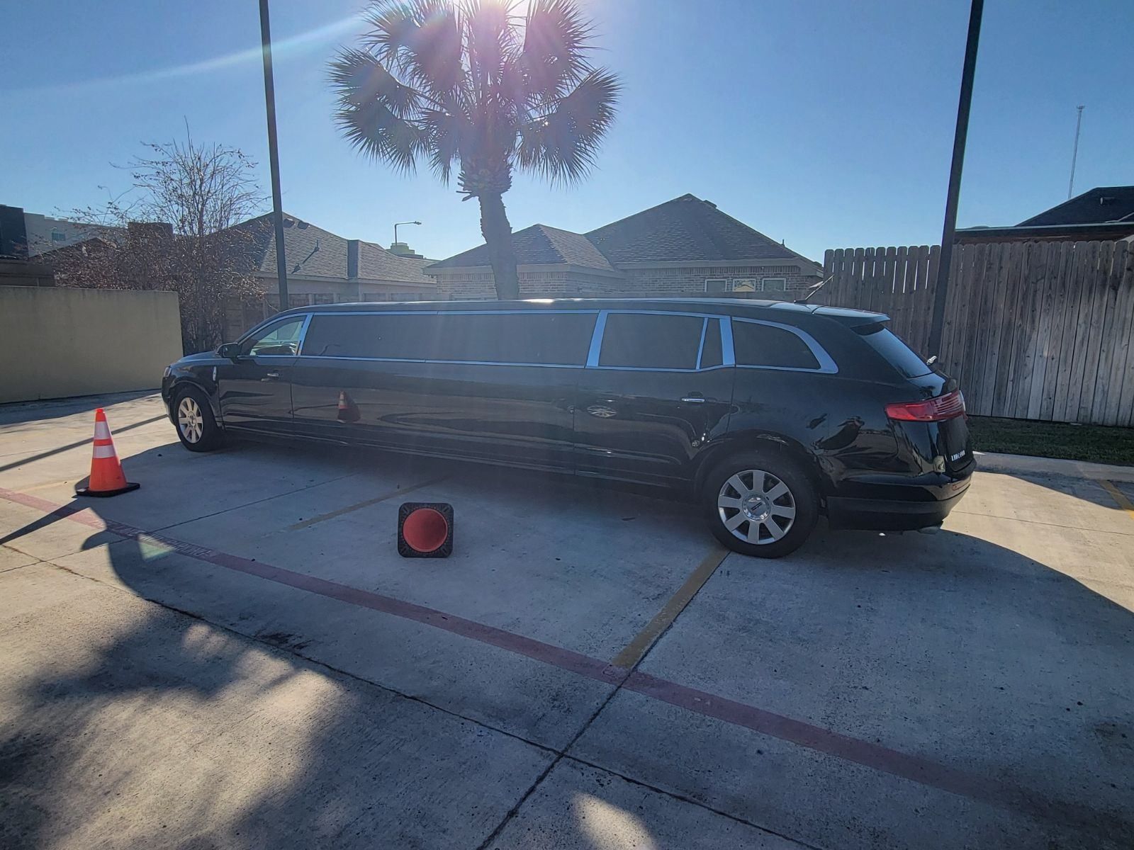 A black limousine is parked in a parking lot next to a palm tree.