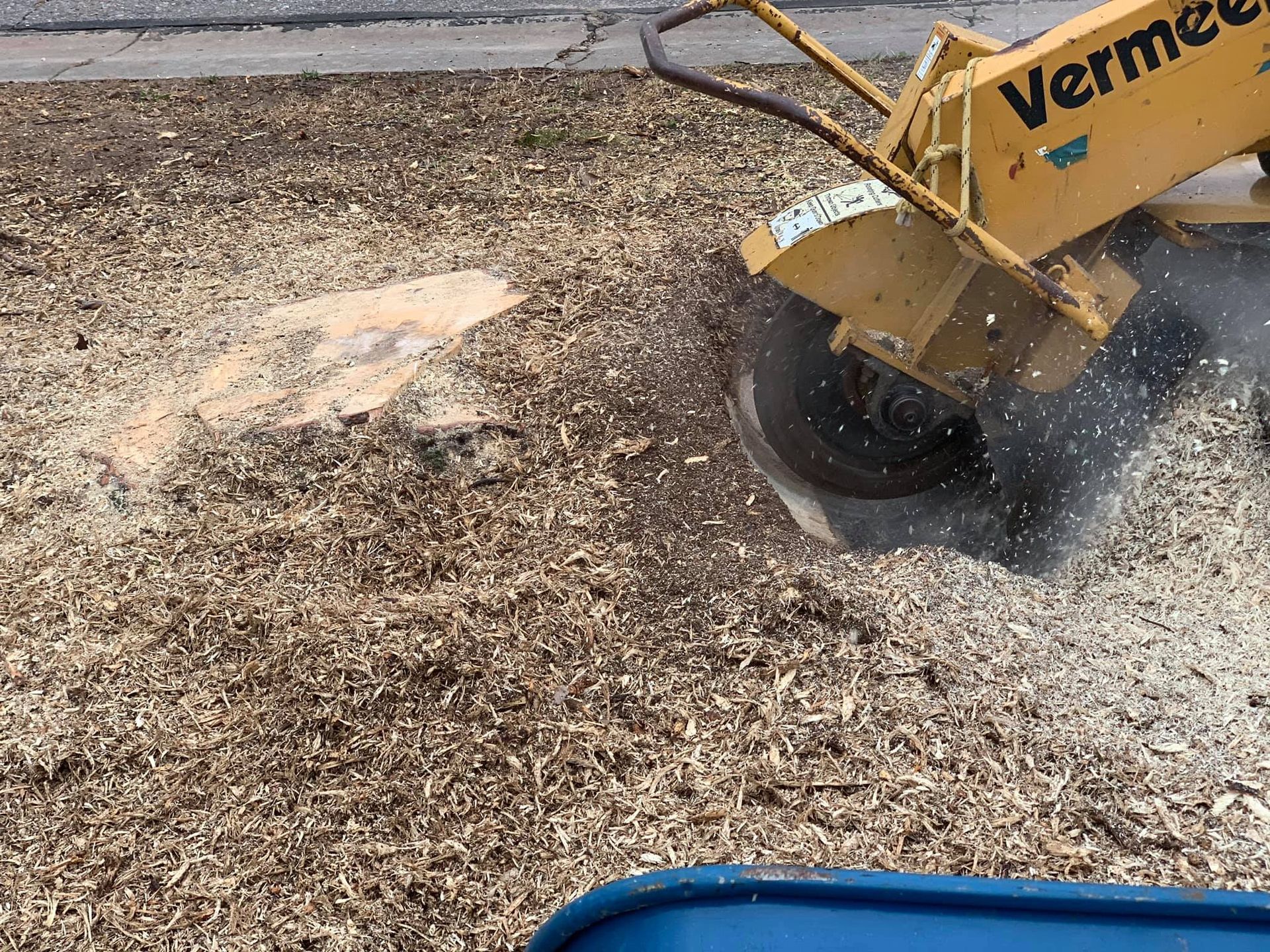 A yellow vermeer stump grinder is cutting a tree stump in the ground.