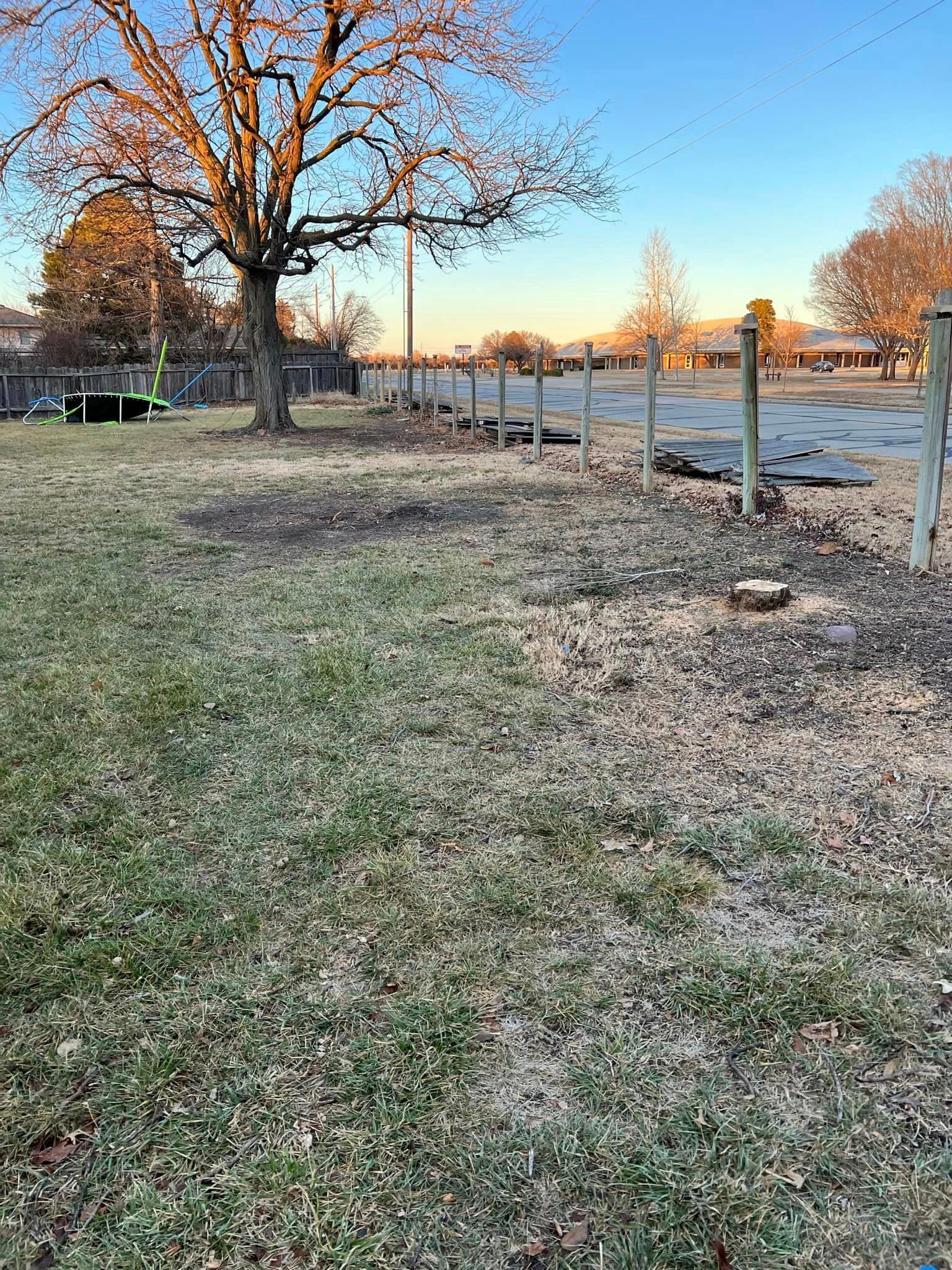 A fence surrounds a grassy field with a tree in the background.