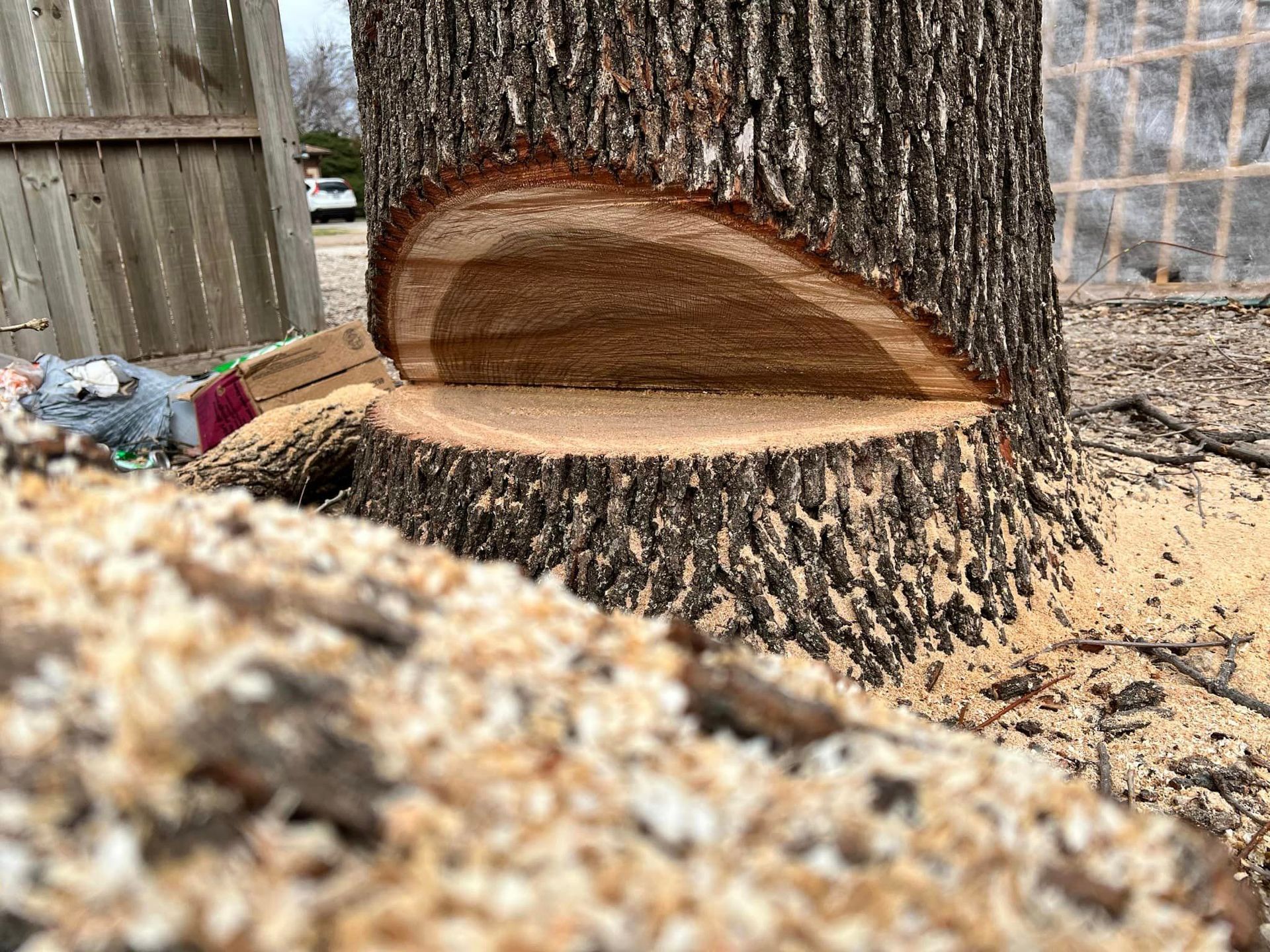 A tree stump that has been cut in half is sitting on top of a pile of wood chips.