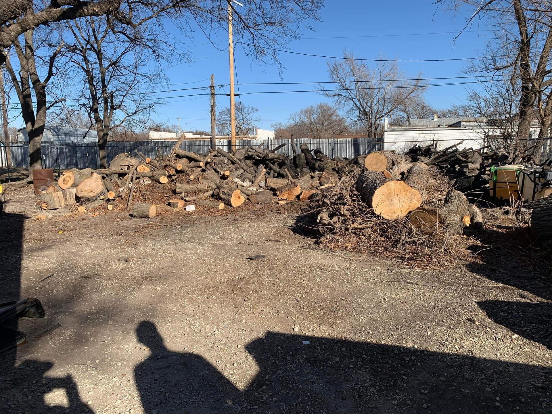A pile of logs in a dirt lot with trees in the background.