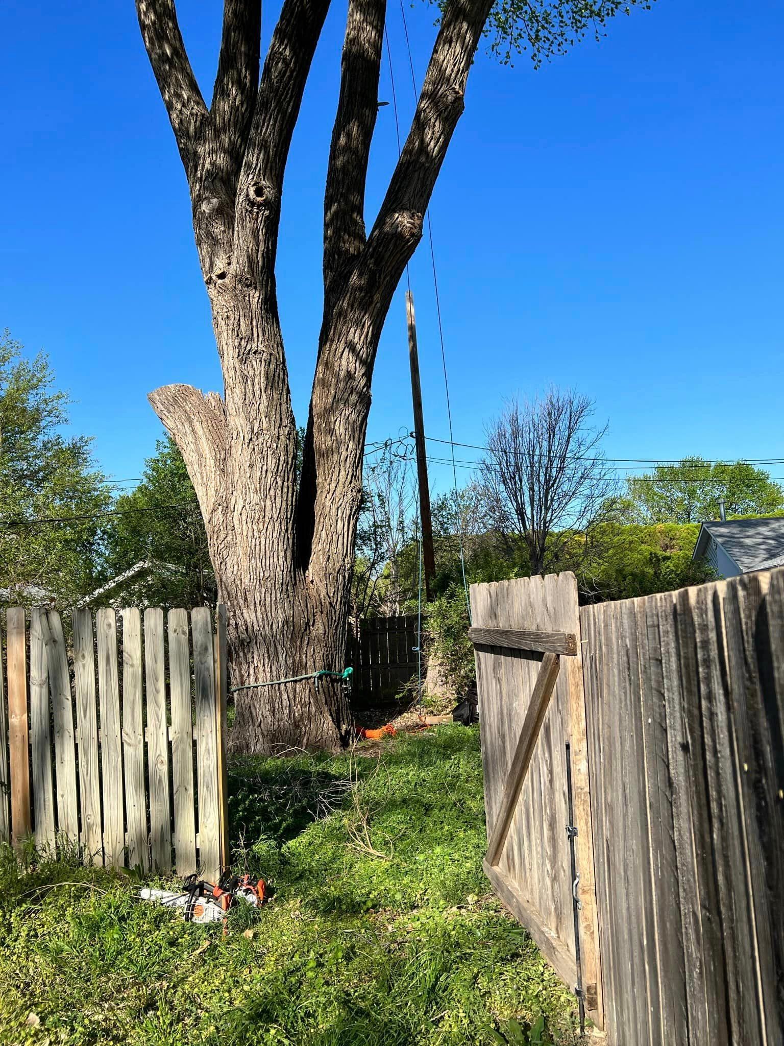 A wooden fence with a tree in the background and a blue sky in the background.