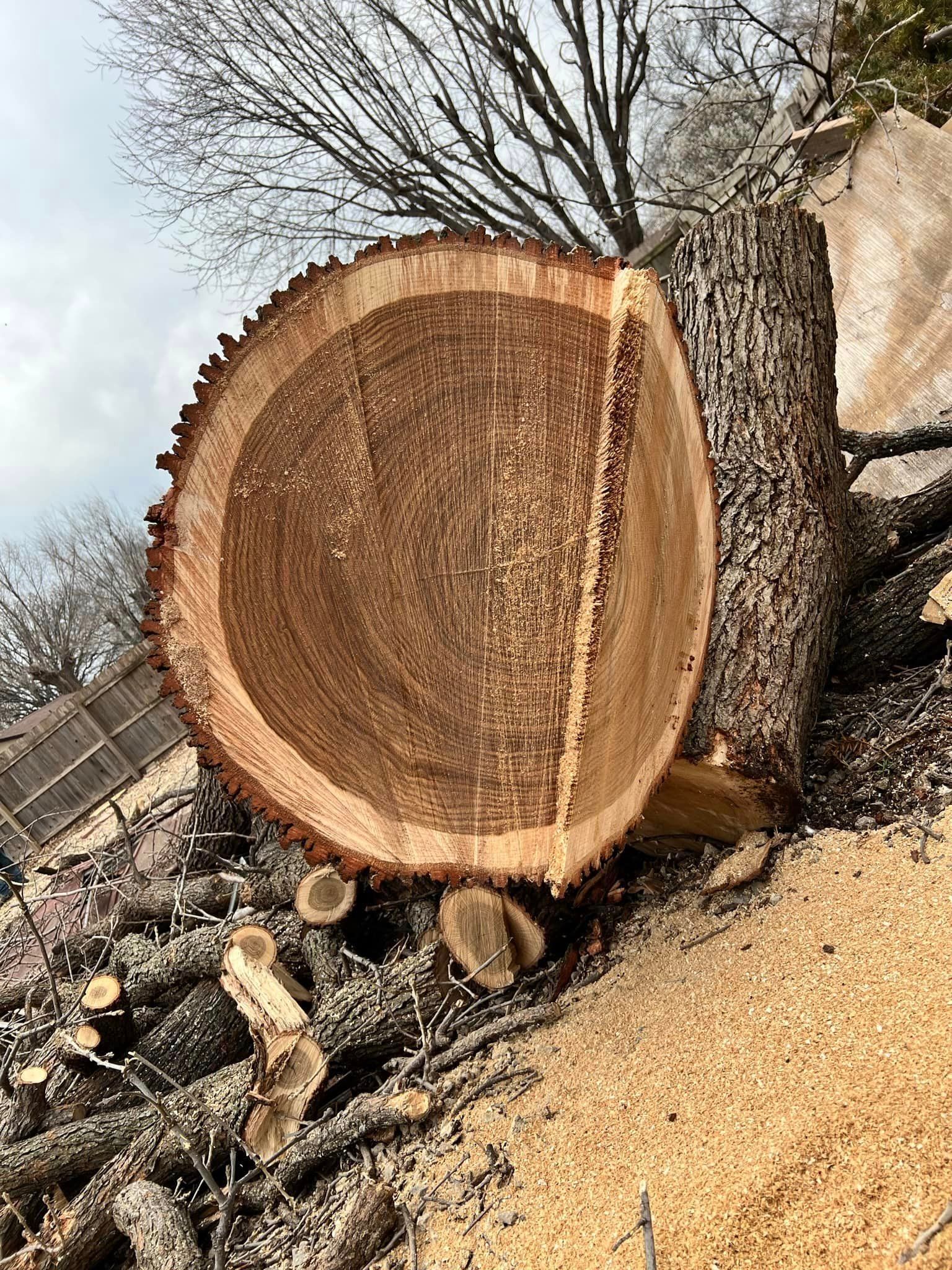 A large tree stump is sitting on top of a pile of logs.