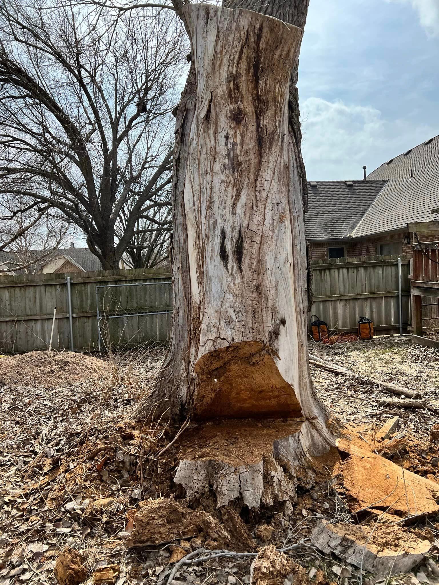 A tree stump is sitting in the dirt in front of a house.