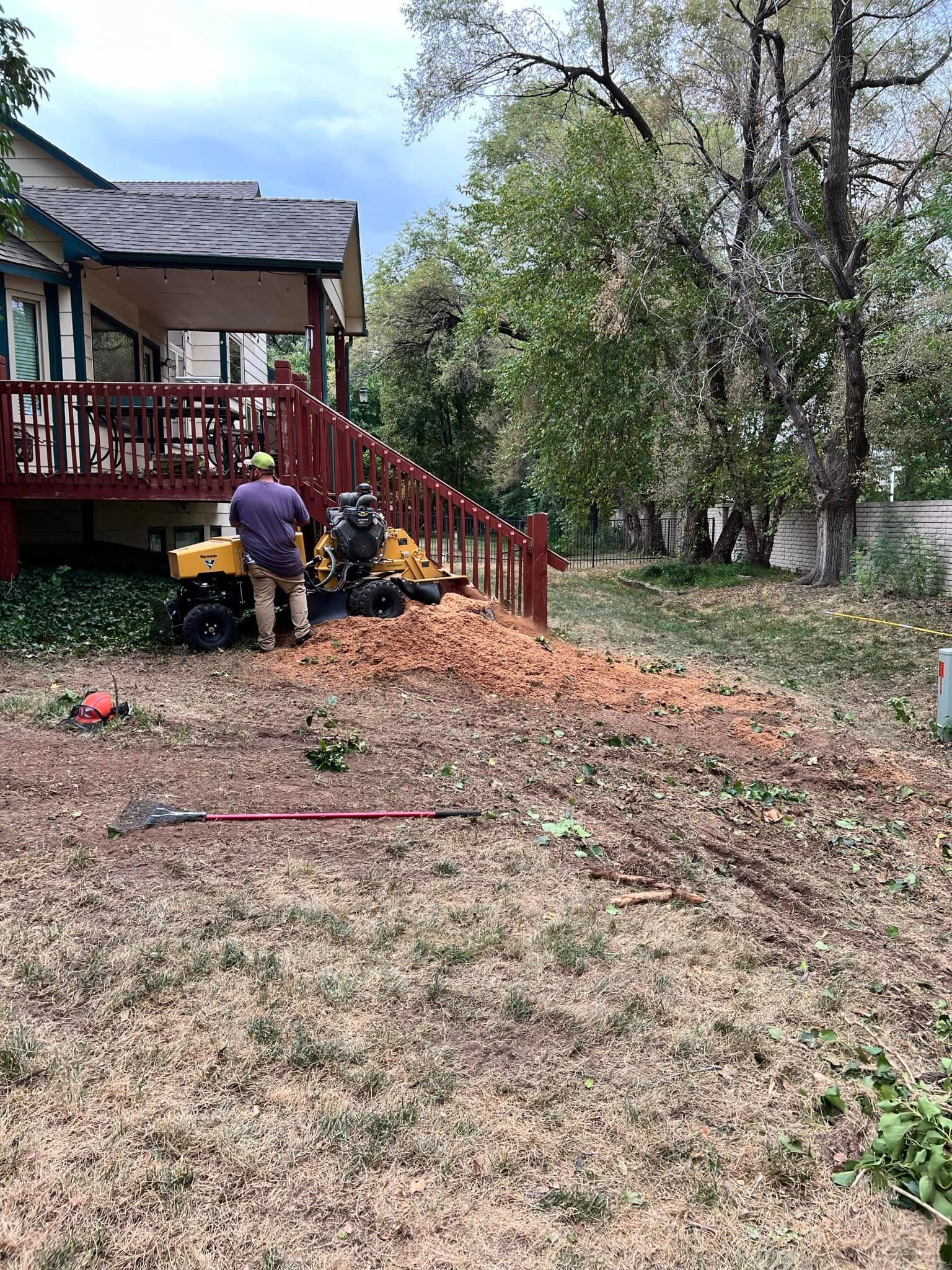 A man is stump grinding a tree in front of a house.