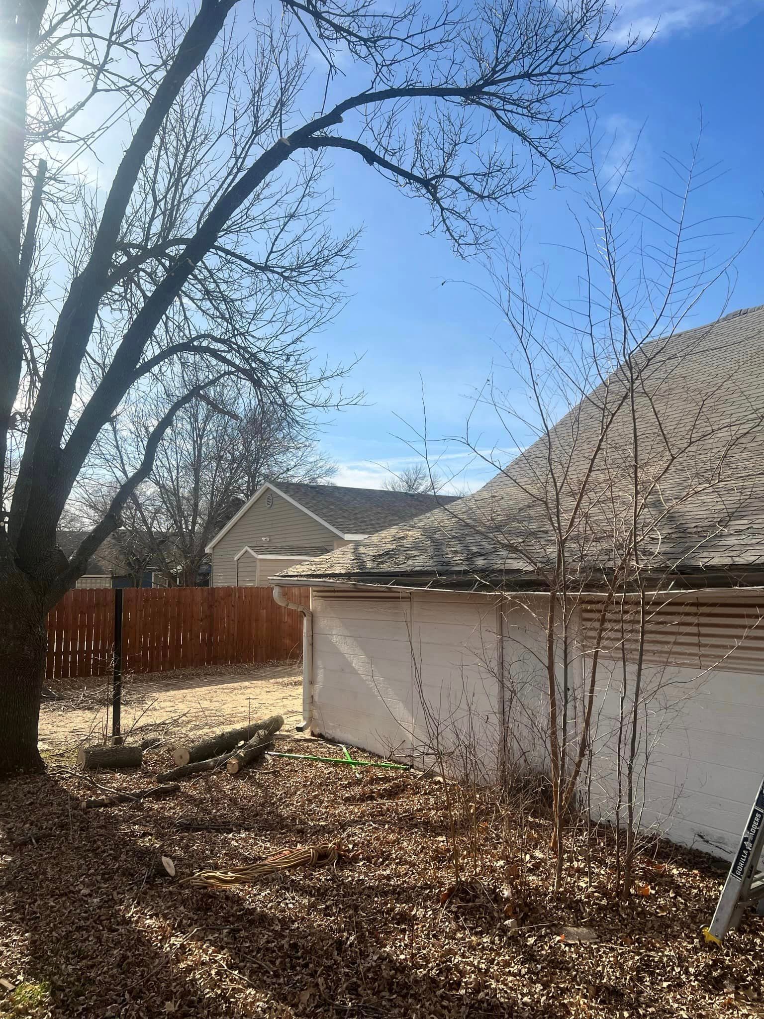 A house with a roof that is covered in leaves and a tree in front of it.