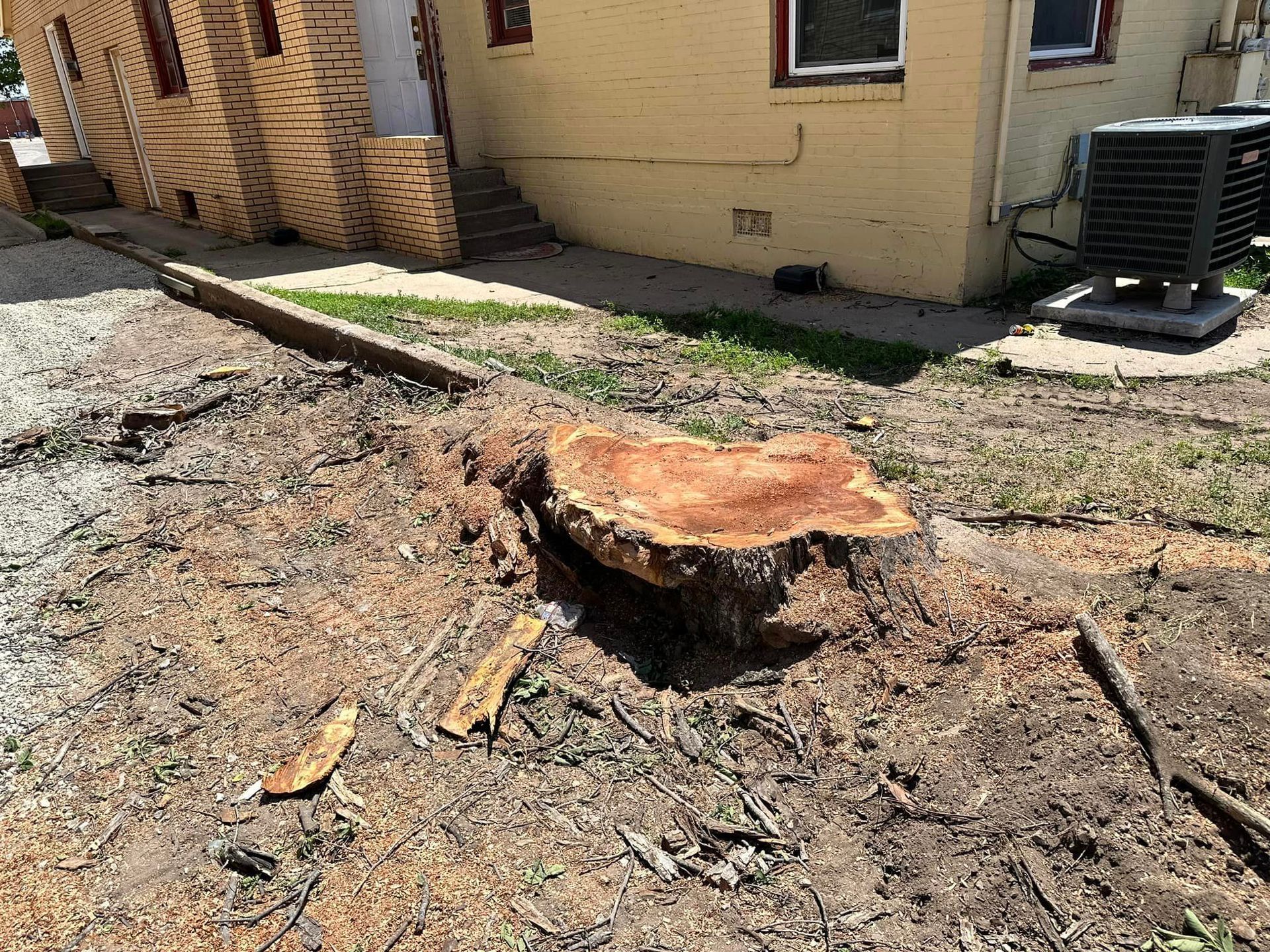 A tree stump is sitting in the dirt in front of a house.