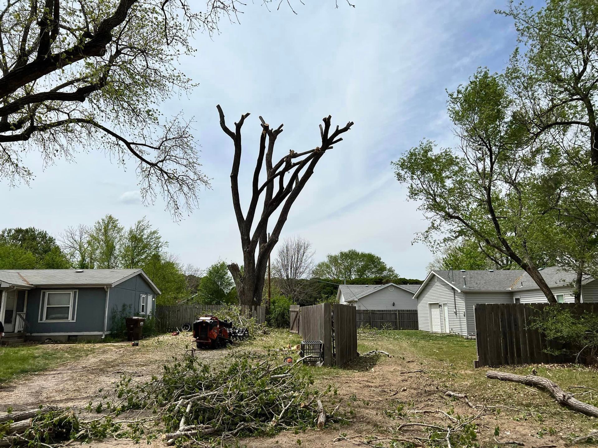 A tree is being cut down in a backyard in front of a house.