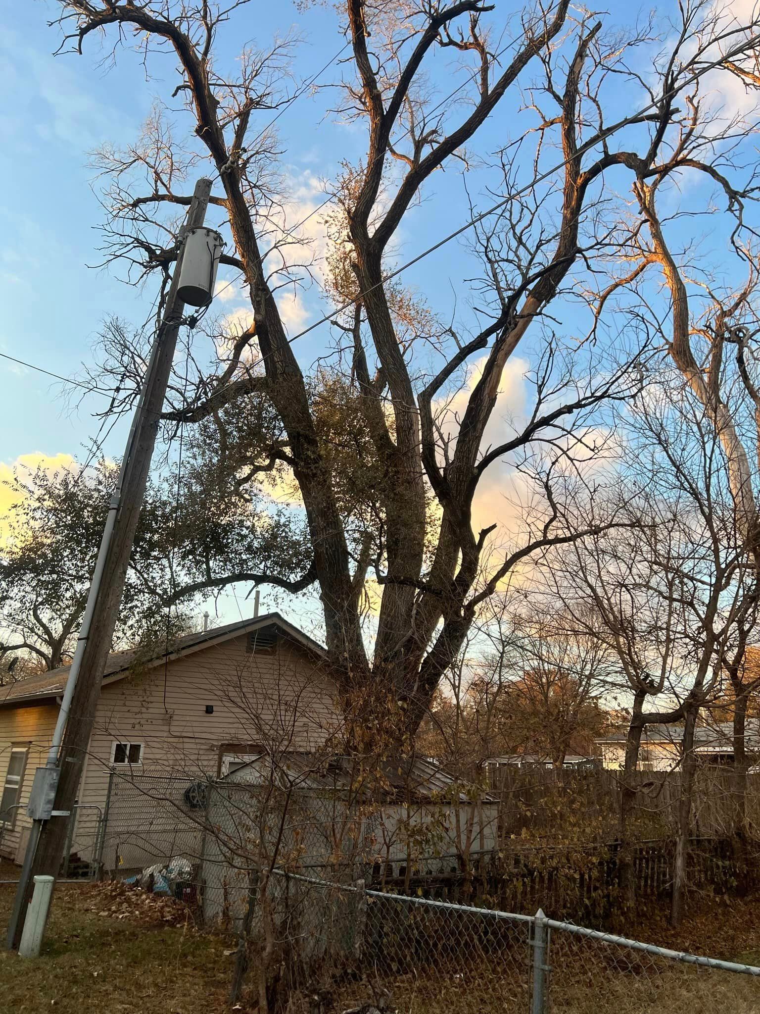 A telephone pole with a bucket on top of it in front of a house.