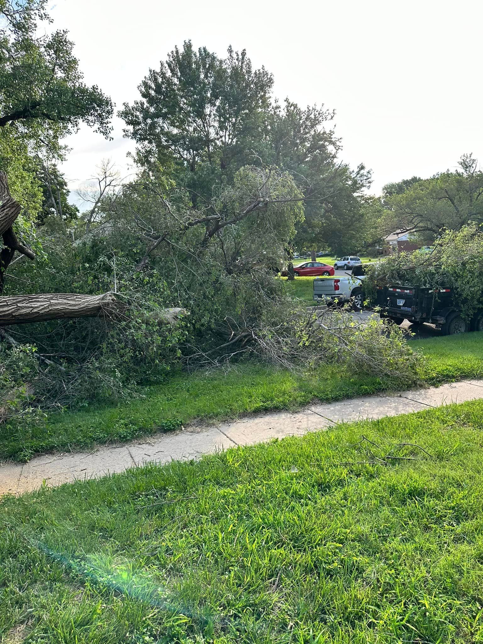 A tree that has fallen on a path in a park.