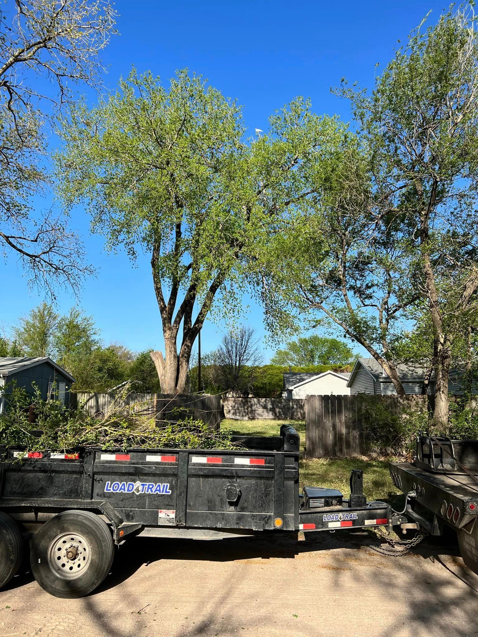 A trailer with a tree on it is parked in a driveway.