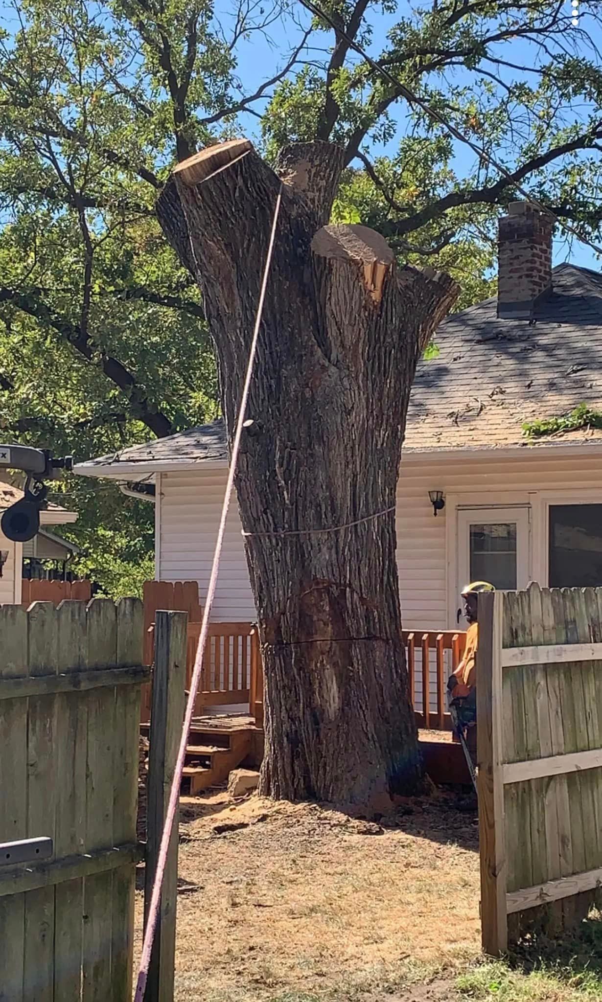 A large tree stump is sitting in front of a house.