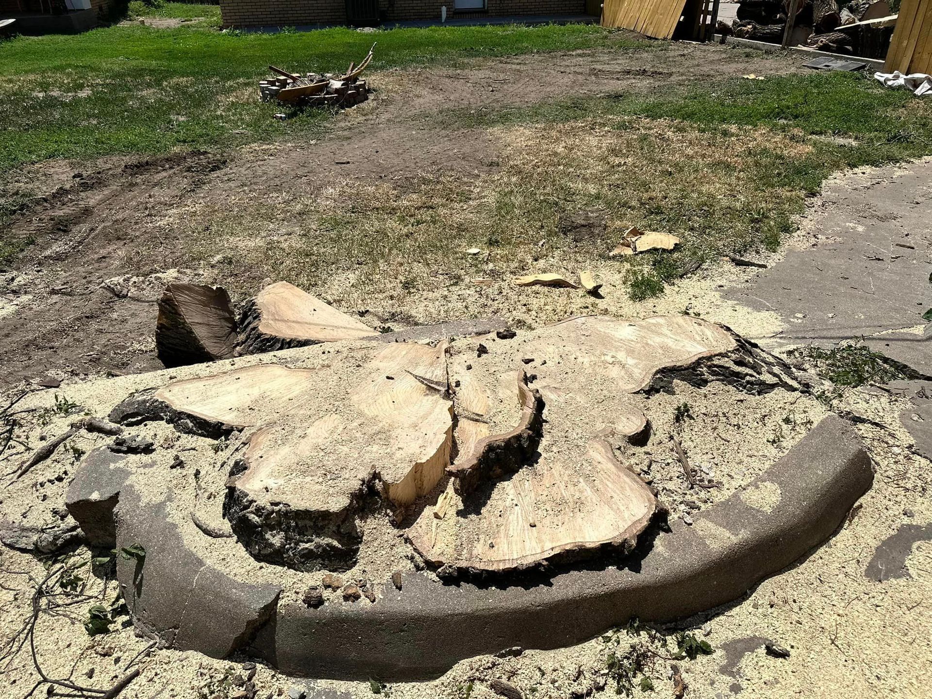 A tree stump is sitting in the middle of a dirt field.