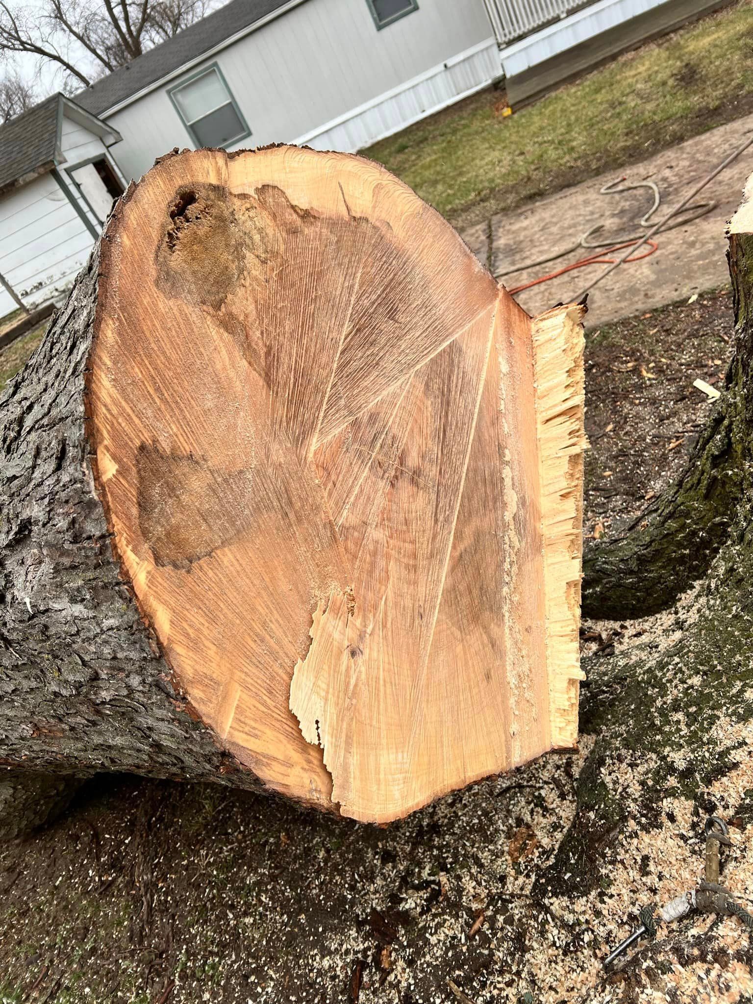 A large piece of wood is laying on the ground next to a house.