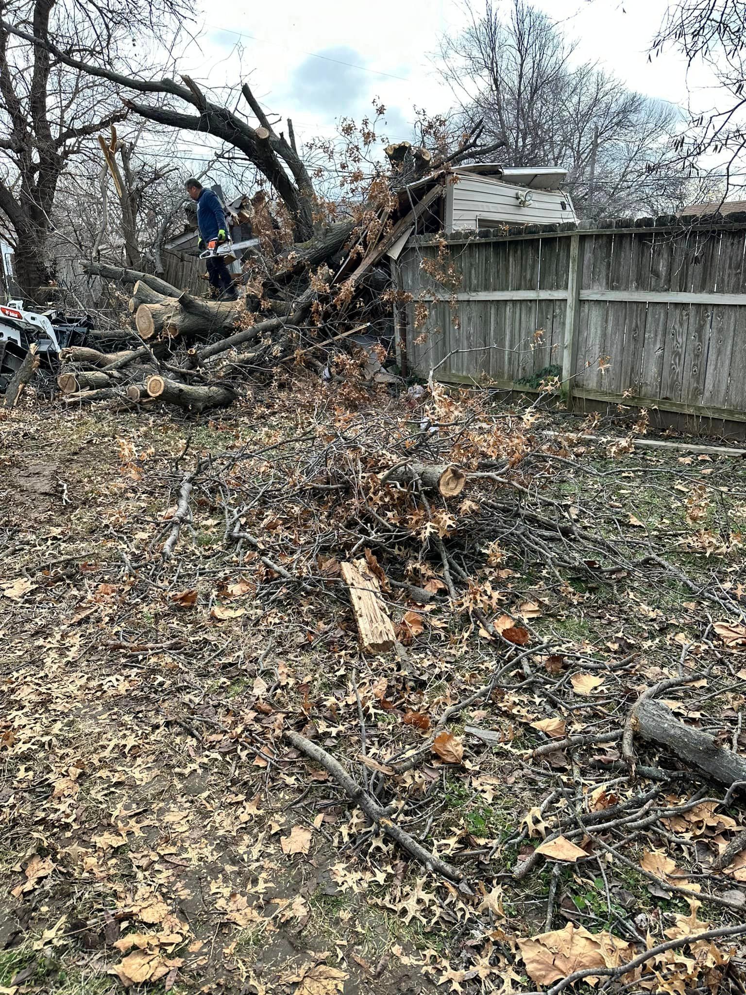 A man is cutting a tree in a backyard with a chainsaw.