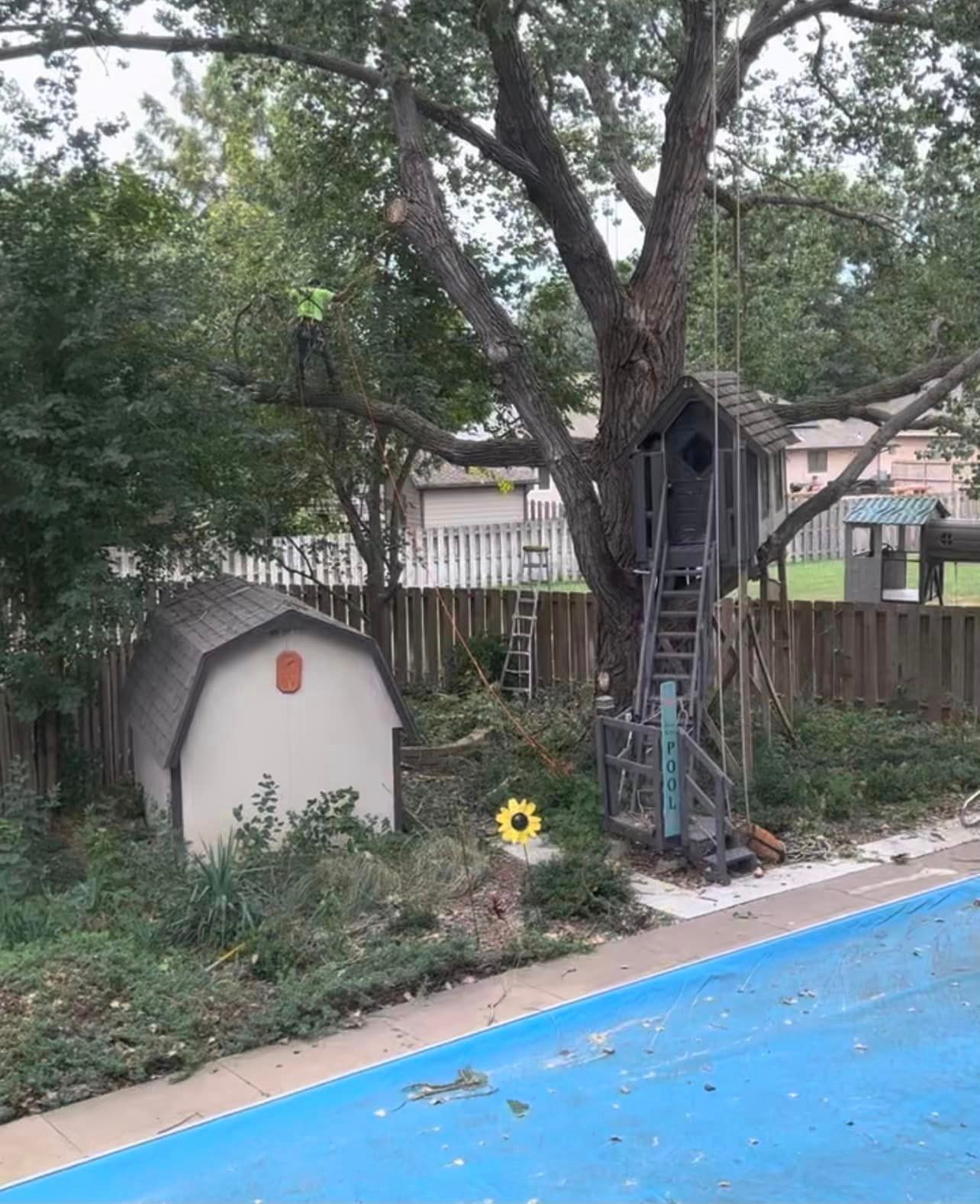 A tree house is sitting next to a pool in a backyard.