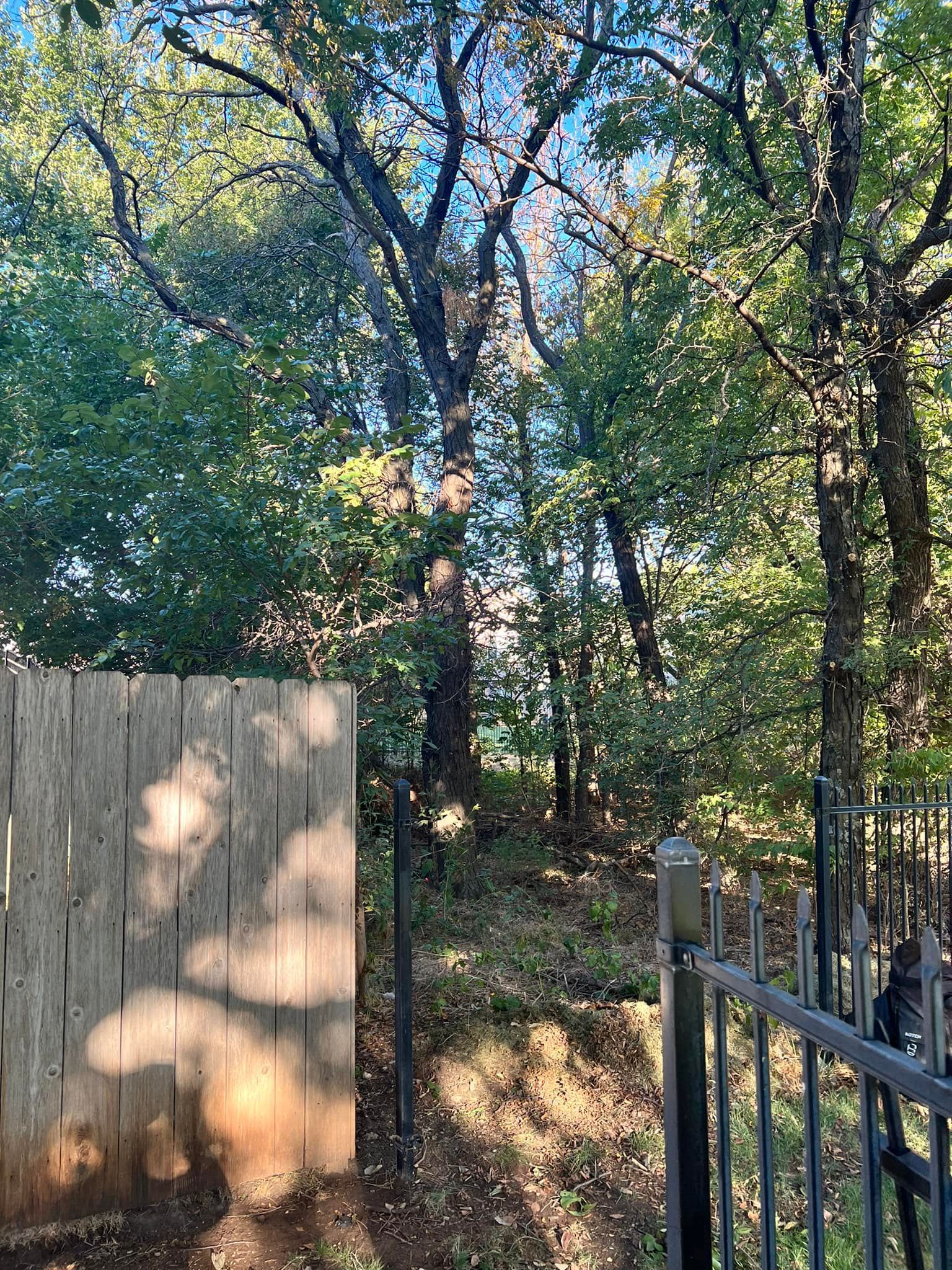 A wooden fence is surrounded by trees and a metal fence.