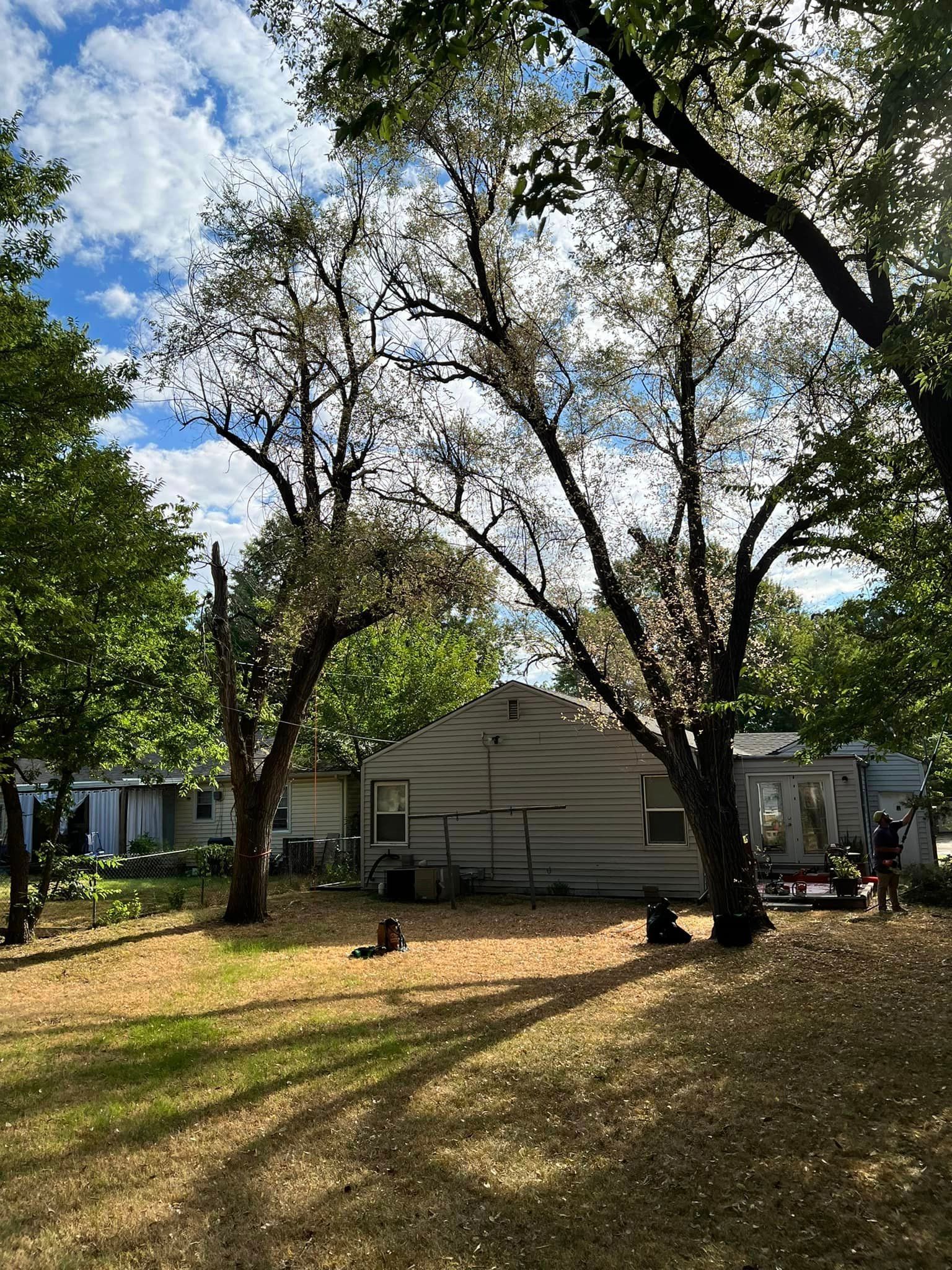 A house with a lot of trees in front of it.