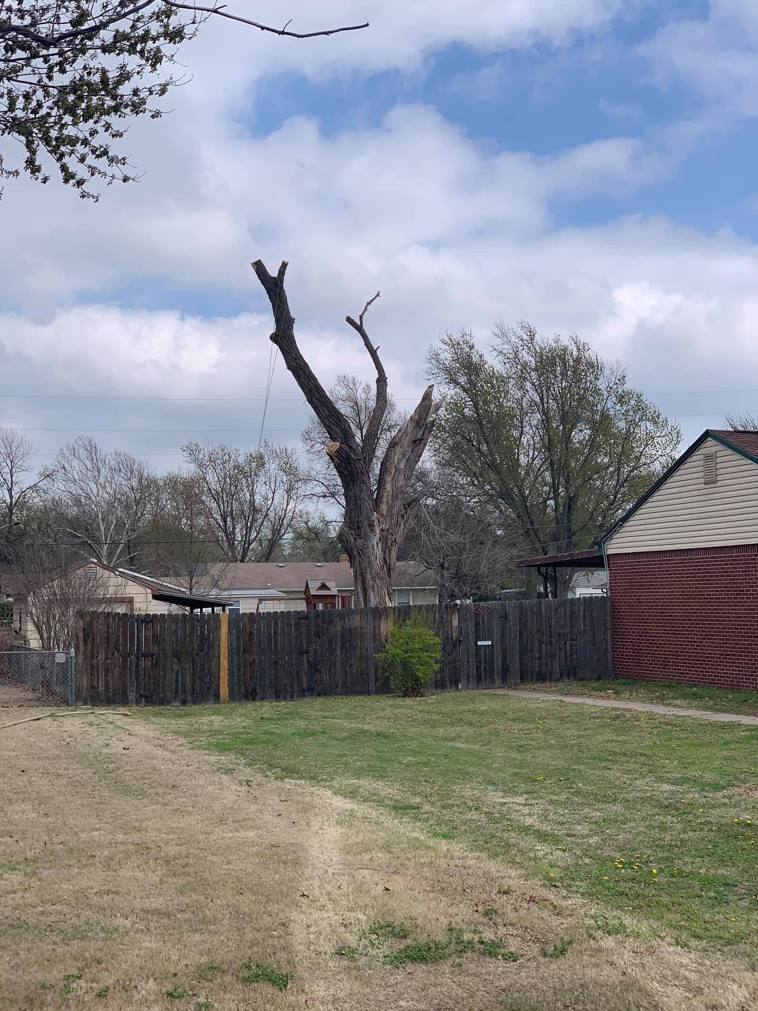 A fenced in yard with a tree in the middle of it.