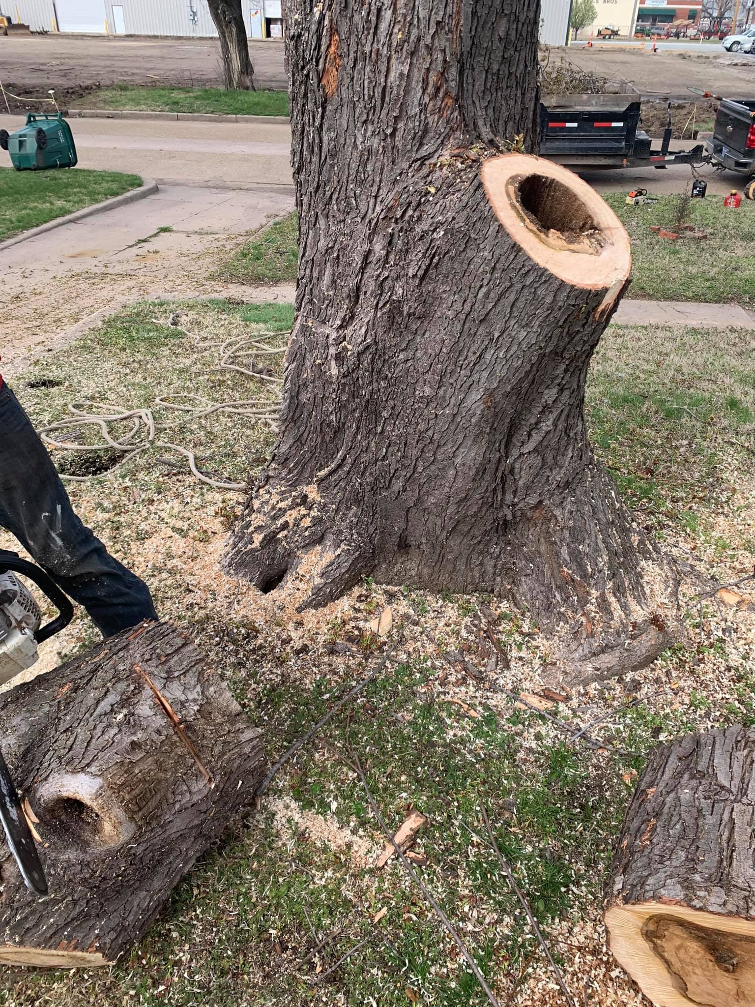 A person is cutting a tree stump with a chainsaw.