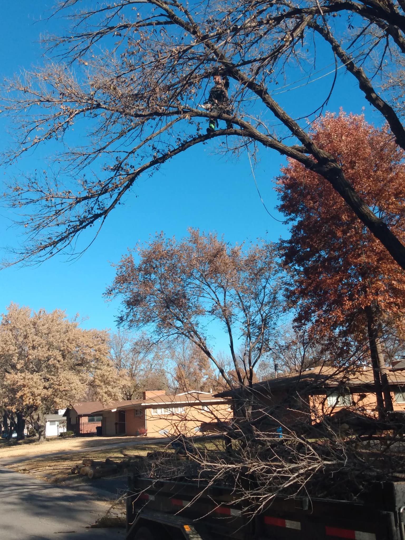 A truck is carrying branches from a tree in front of a house.