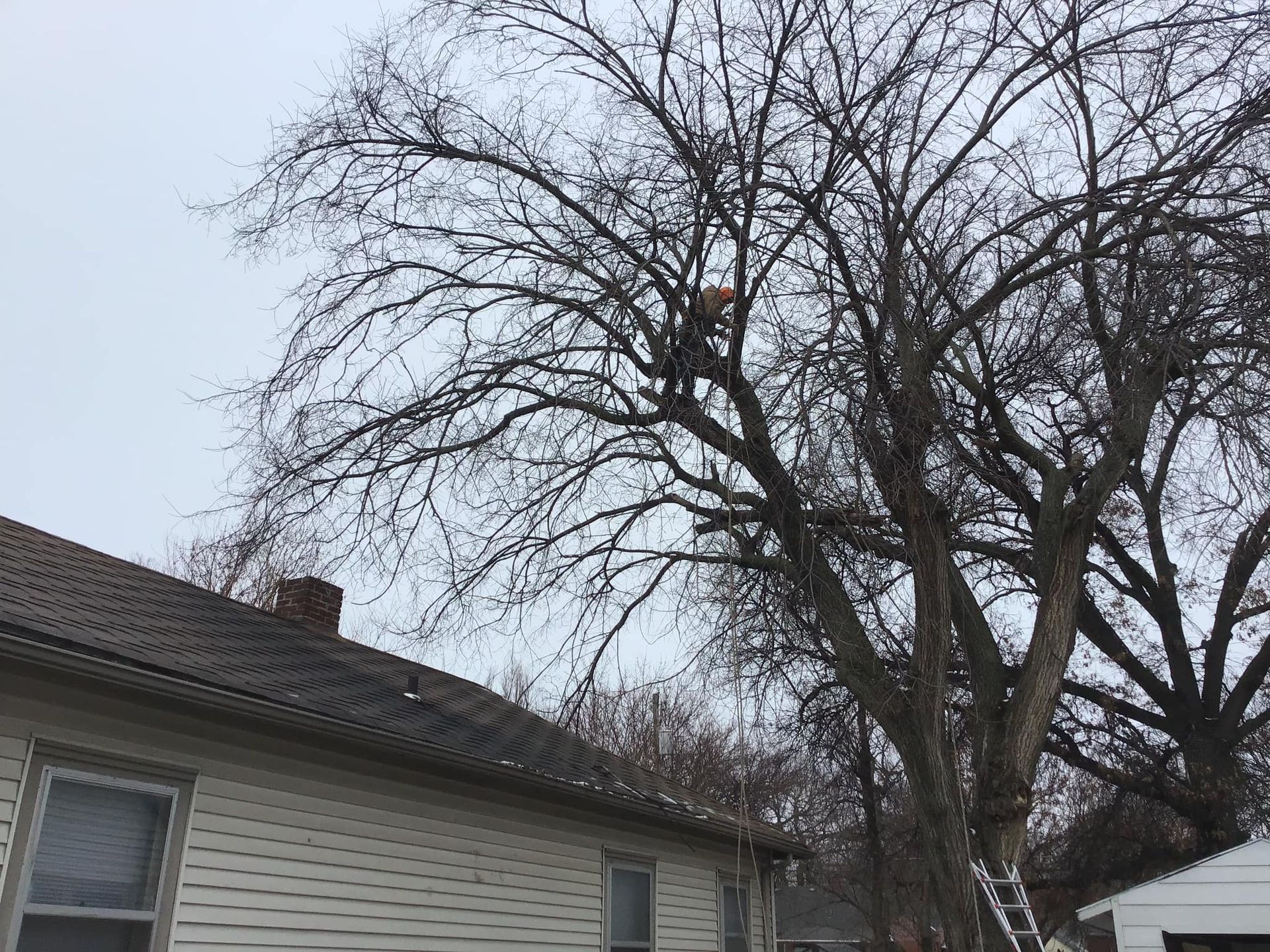 A man is cutting a tree in front of a house.