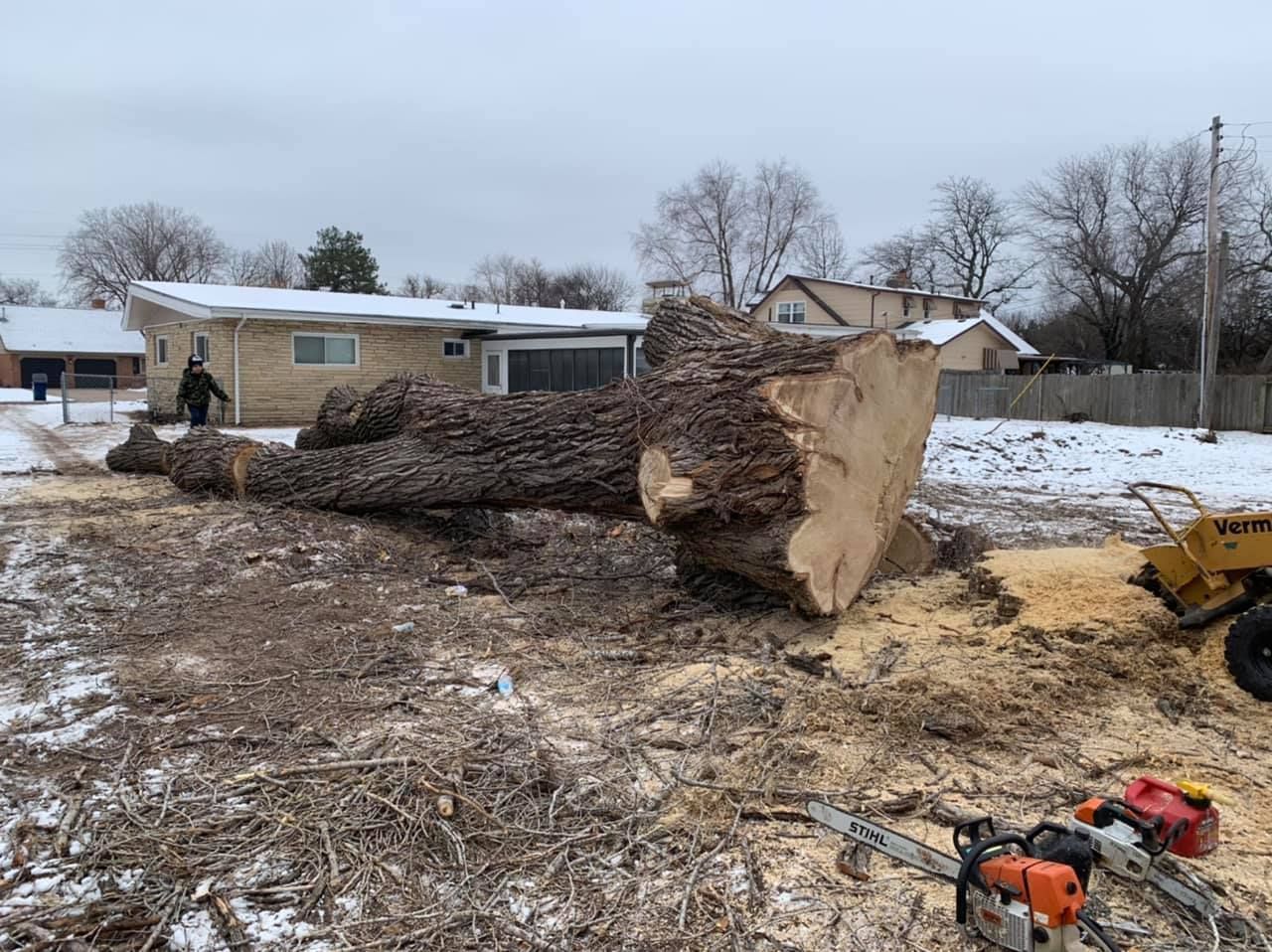 A large tree stump is sitting in the middle of a snowy field.