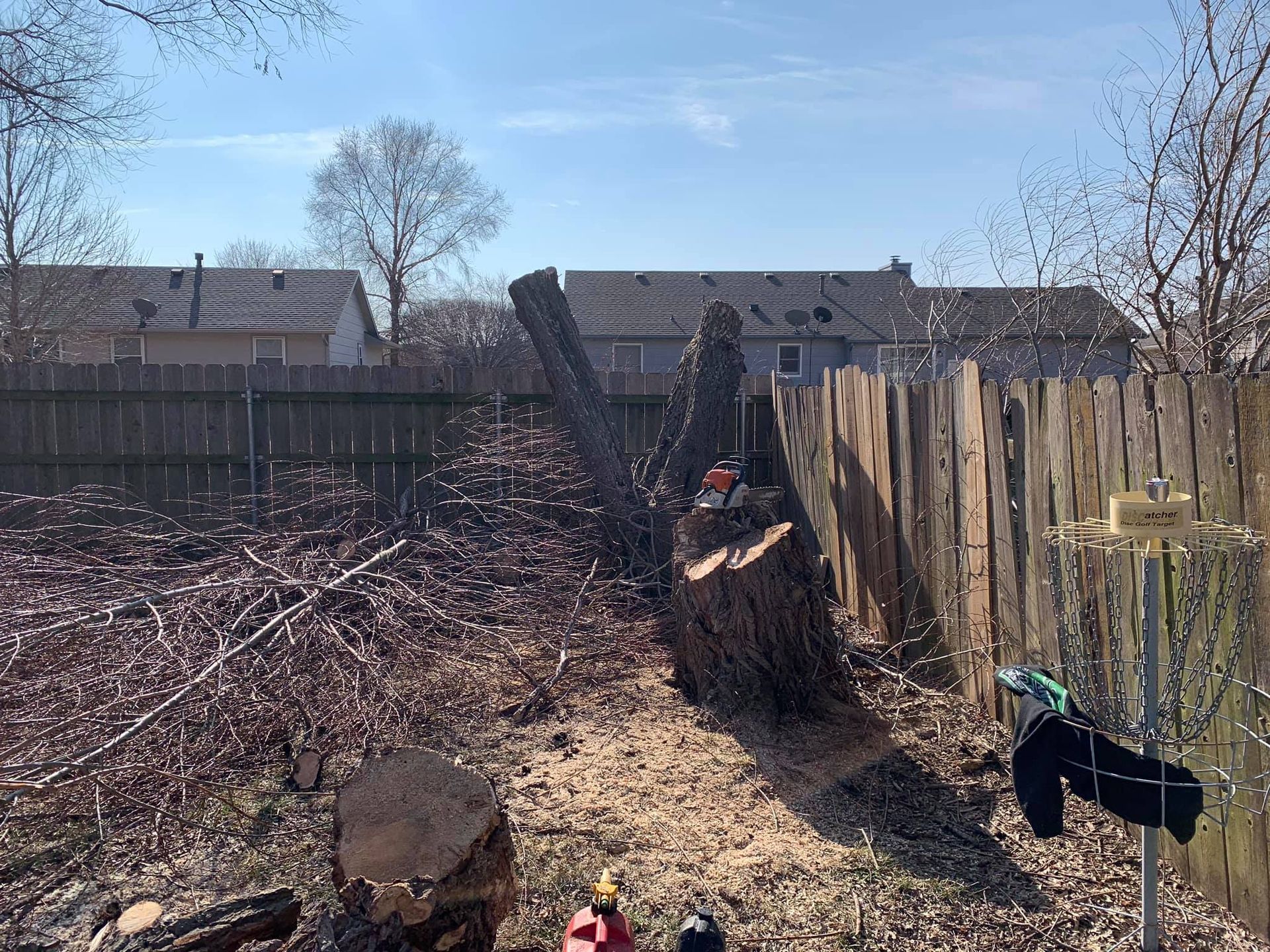 A person is cutting a tree in a backyard with a chainsaw.