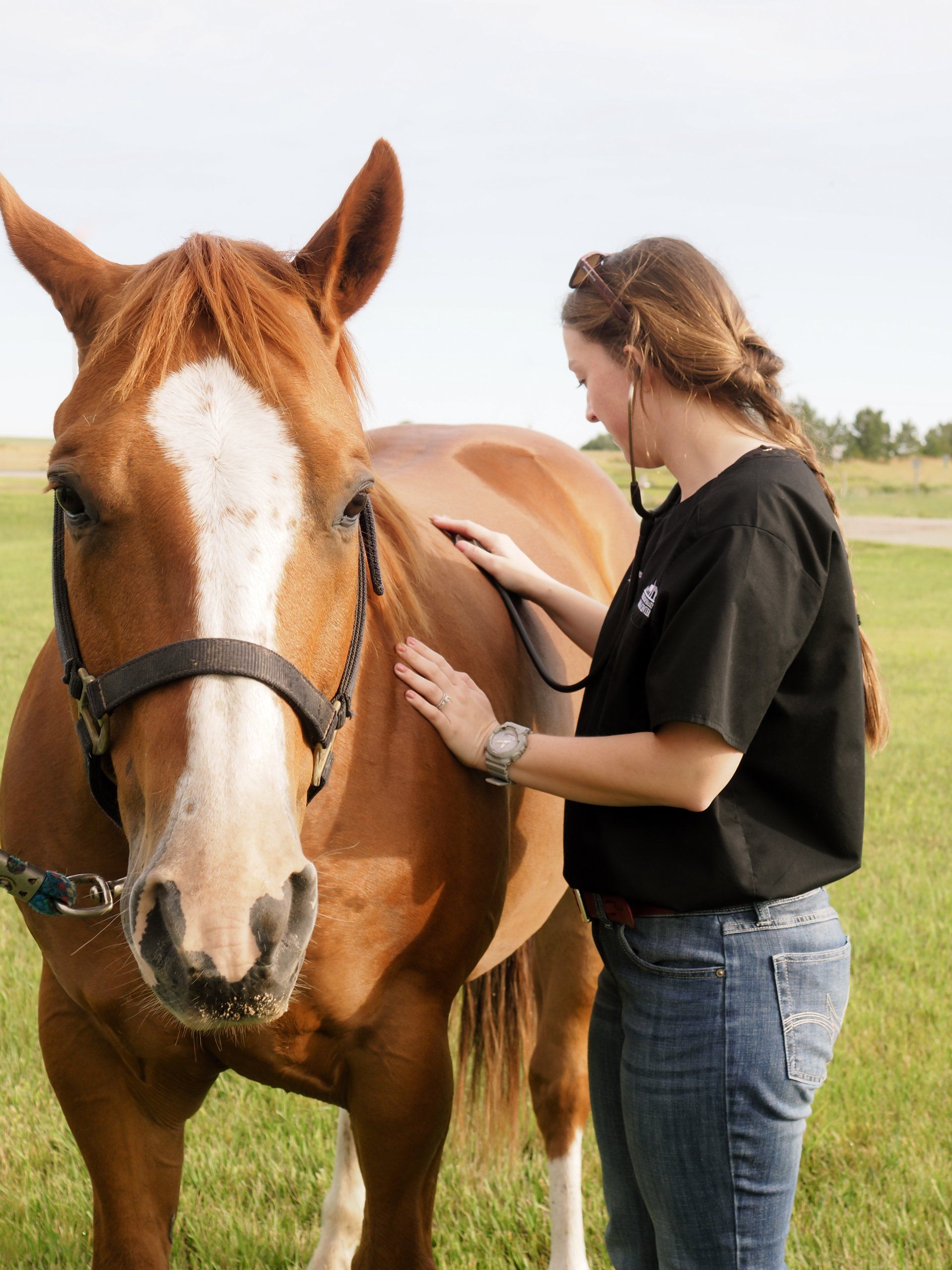 Horse and staff