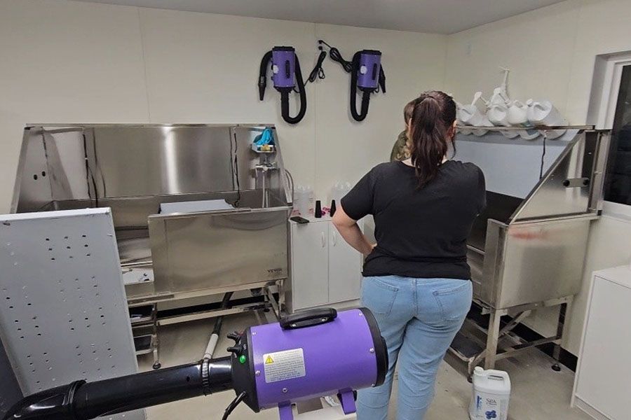 A woman is standing in a room with a purple dryer.