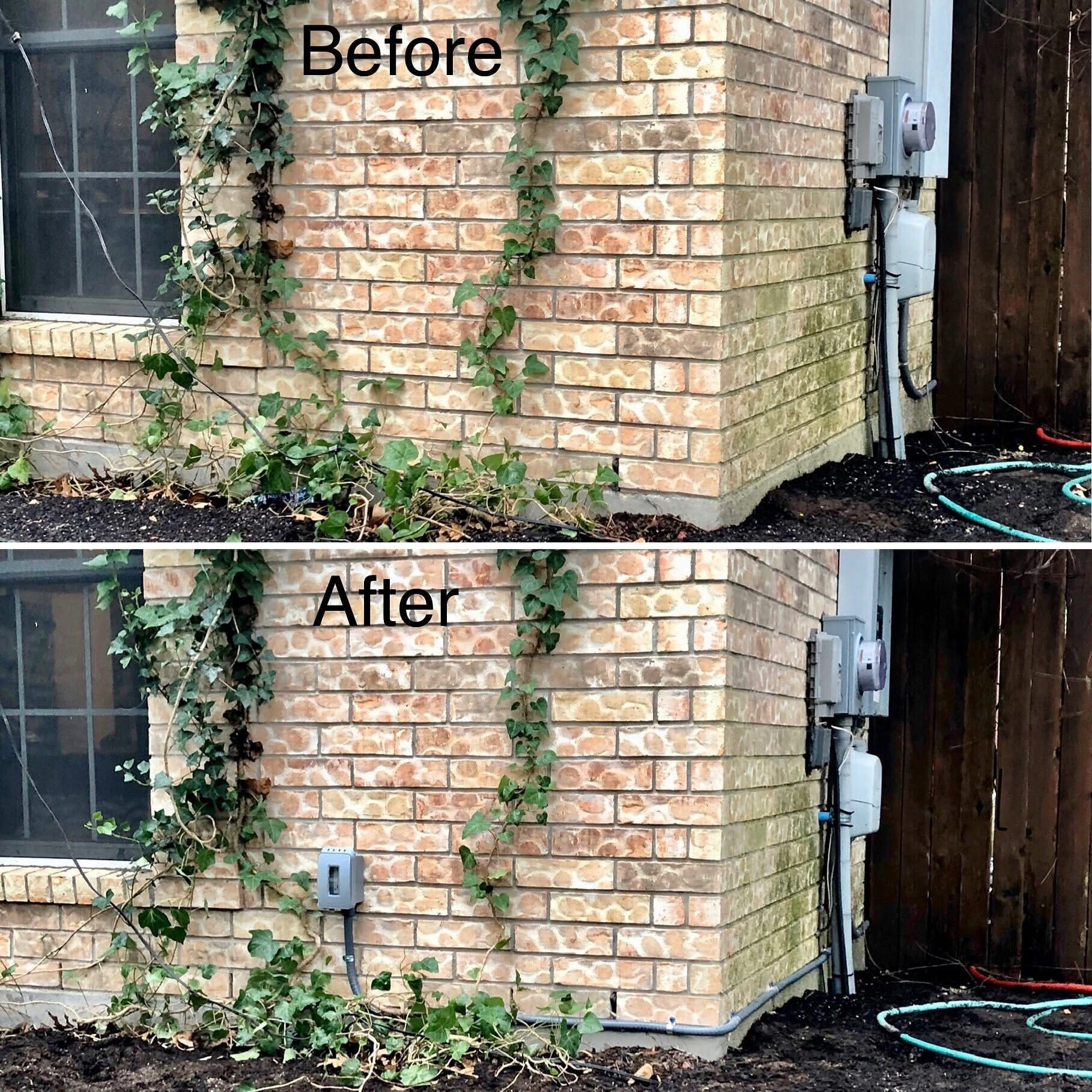 Comparison of a brick building corner before and after cleaning. Ivy present in both.