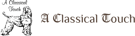 A Classical Touch-logo