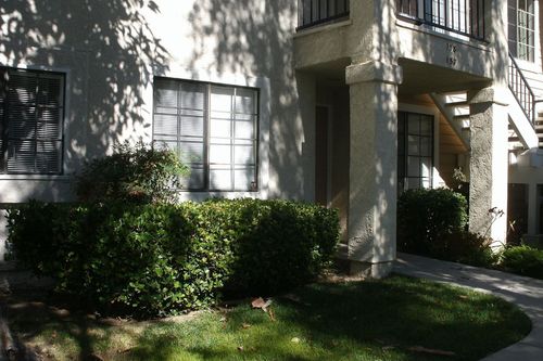 Apartment building exterior with white balconies, windows, and shaded shrubs along a curved walkway