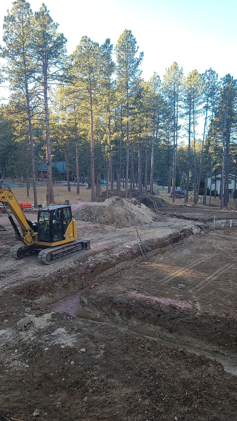 Yellow excavator clearing a dirt path in a wooded area with tall pine trees and piles of earth