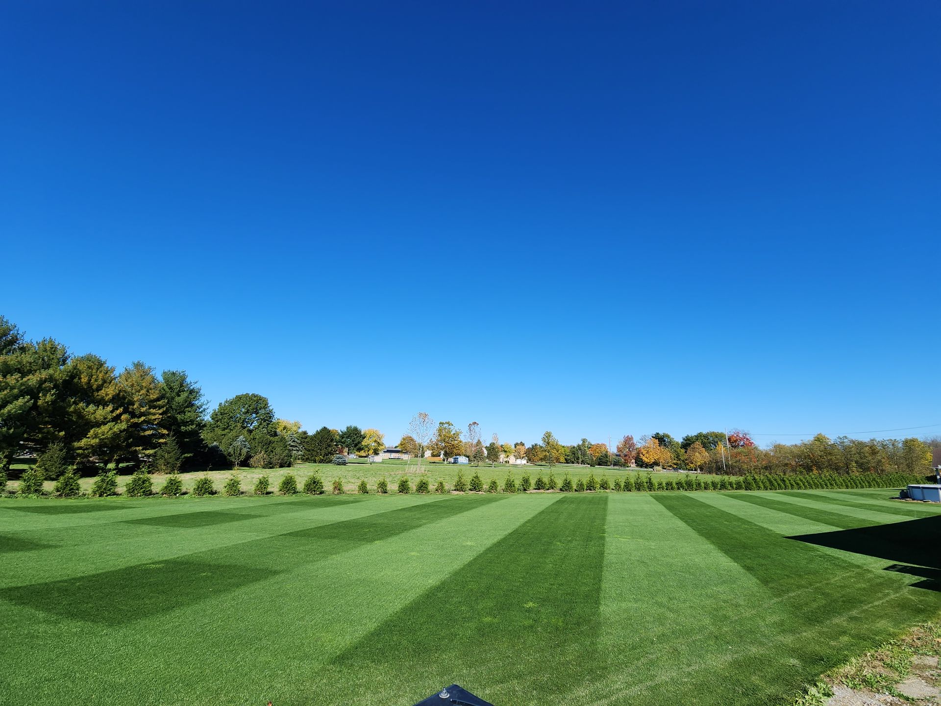 Bright green lawn with striped mowing patterns under a clear blue sky, lined by trees in the distance