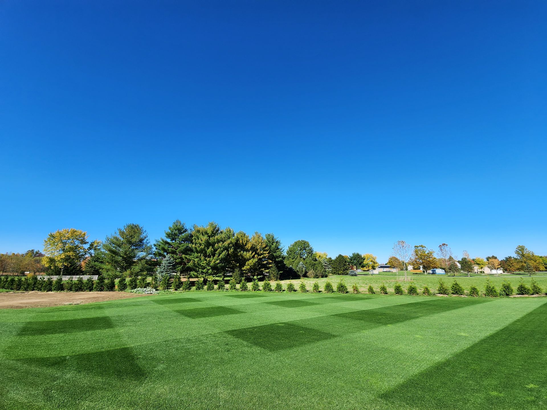 Green lawn with diagonal mowing patterns, rows of trees, and a clear blue sky