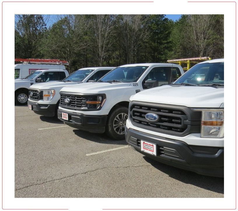 Row of parked white Ford pickup trucks in a sunny parking lot