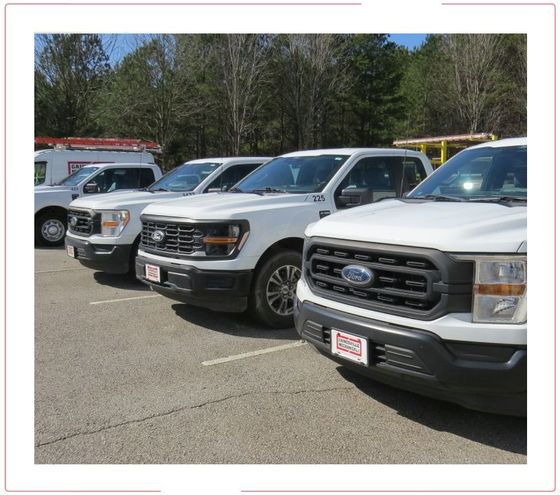 Row of parked white Ford pickup trucks in a sunny parking lot
