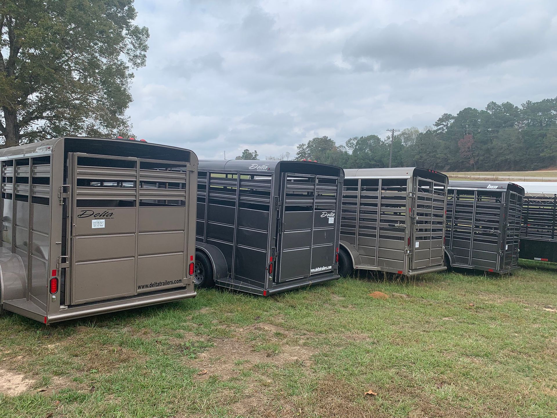A row of horse trailers are parked in a grassy field.