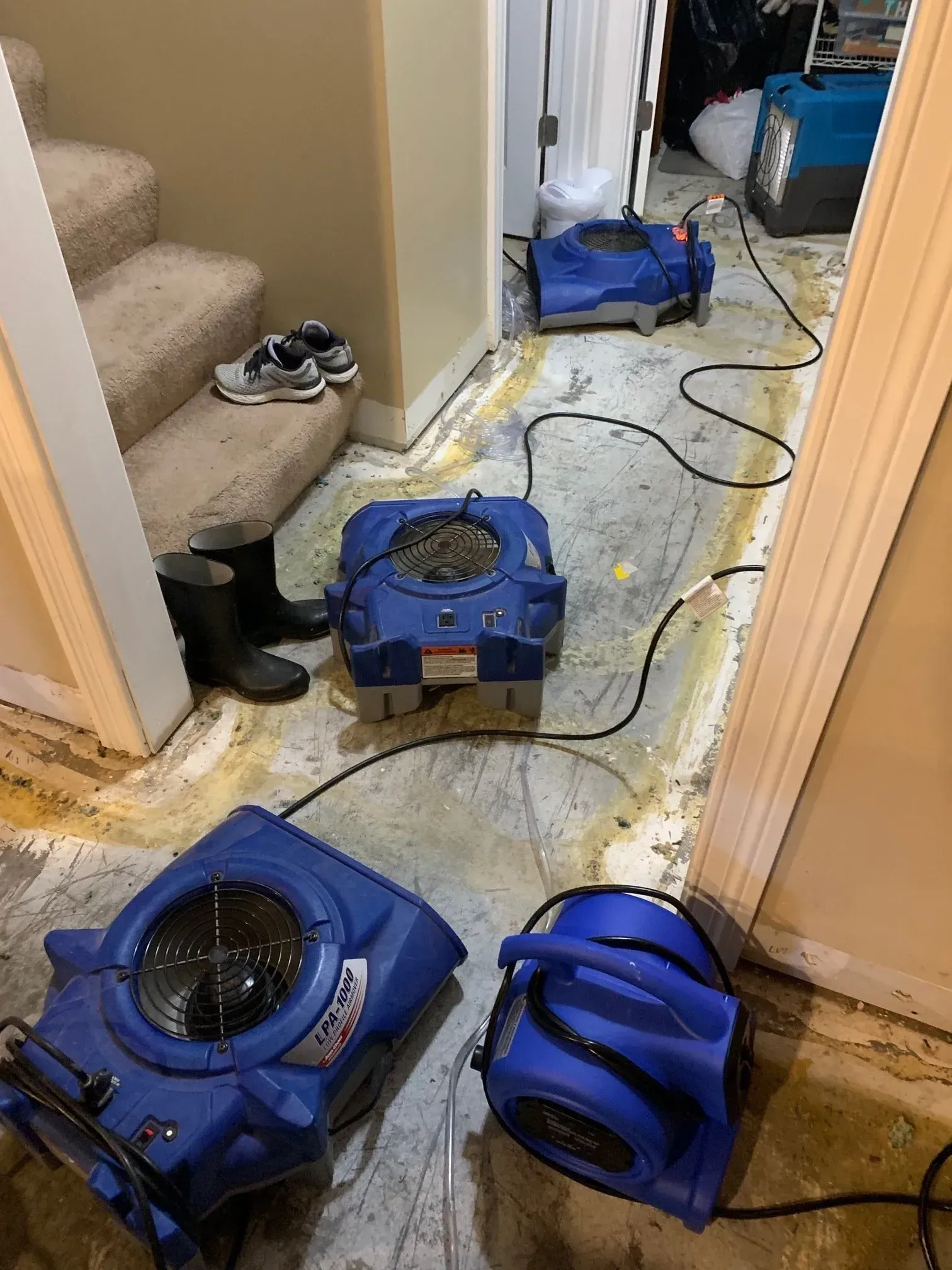 A couple of blue machines are sitting on the floor of a room.