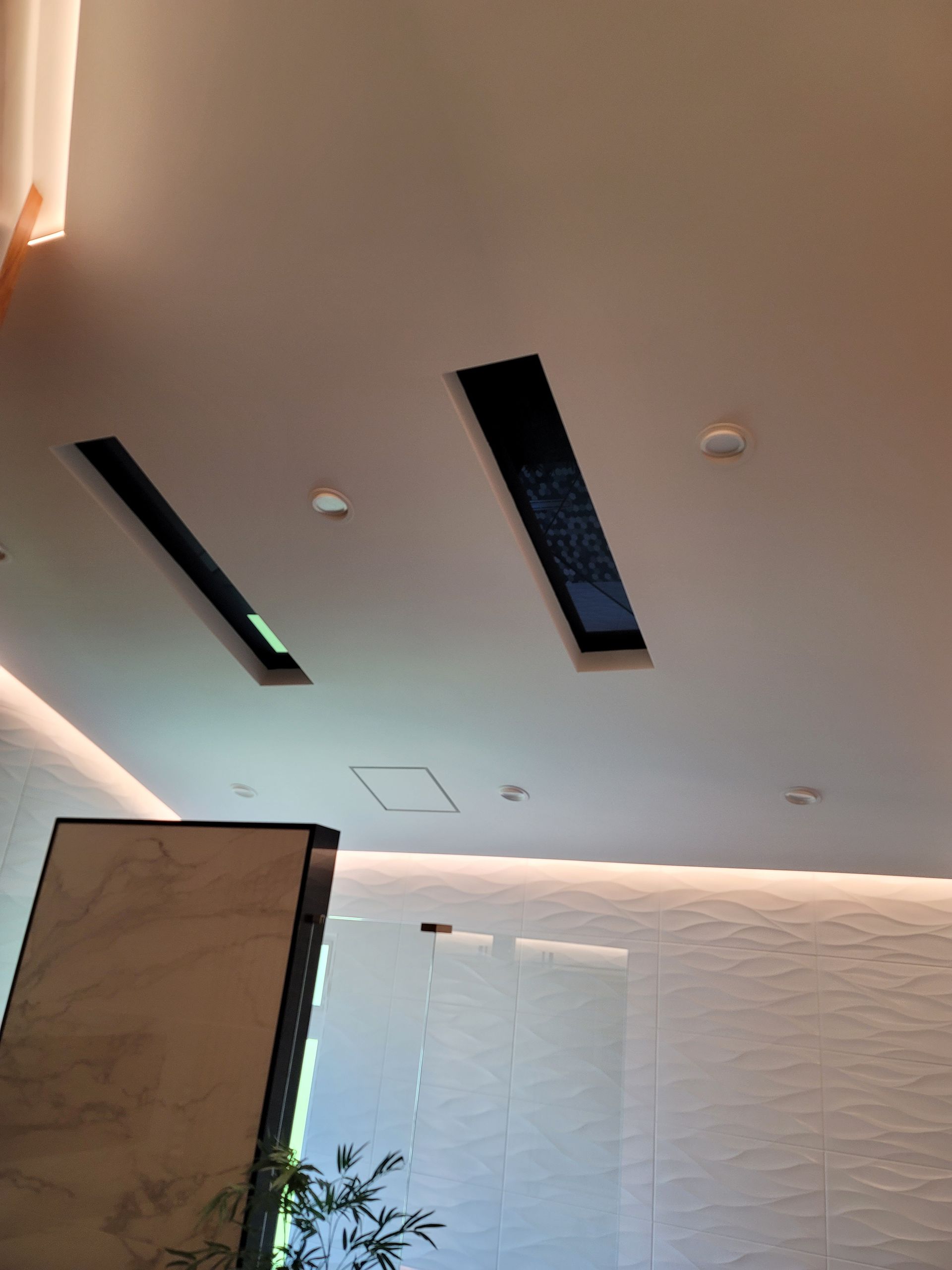 Indoor ceiling with long black vents and recessed lights above a textured wall and plant.