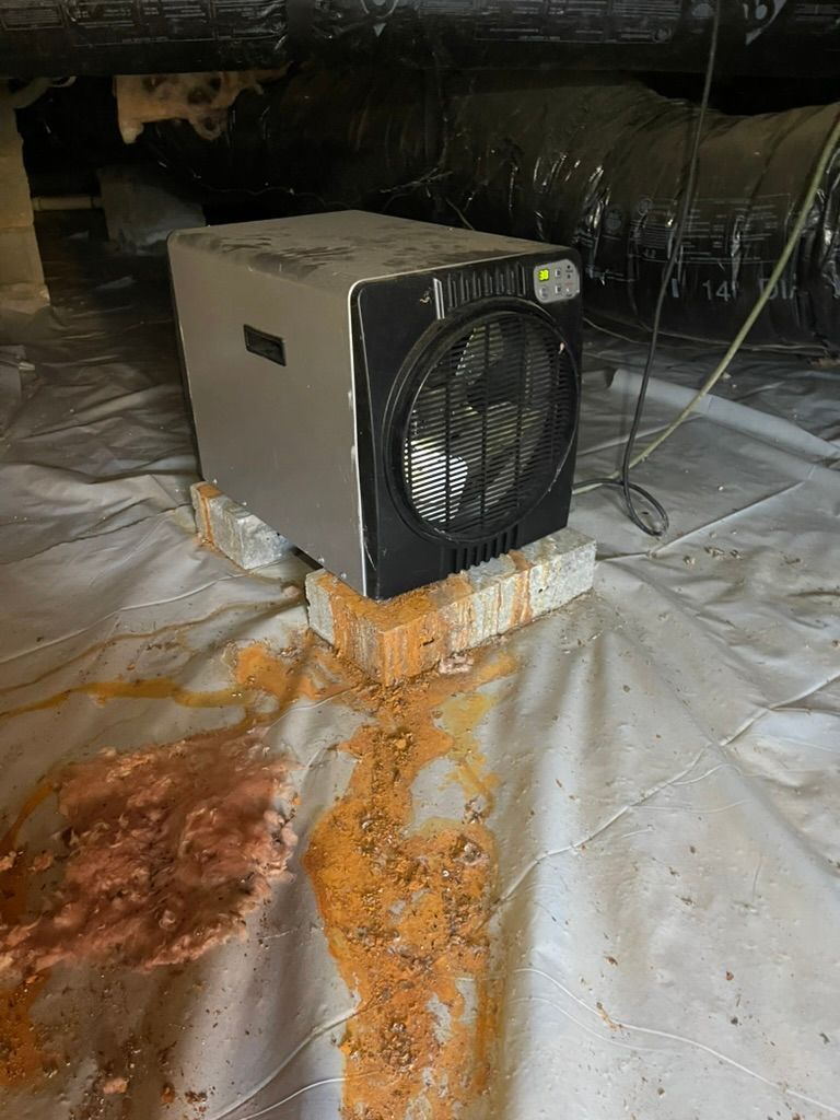 Dehumidifier on brick, stained plastic sheet in crawl space. Brown rusty stains evident.