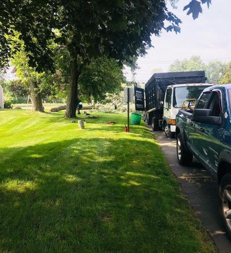 Tree-lined suburban street with parked trucks beside a grassy park on a sunny day