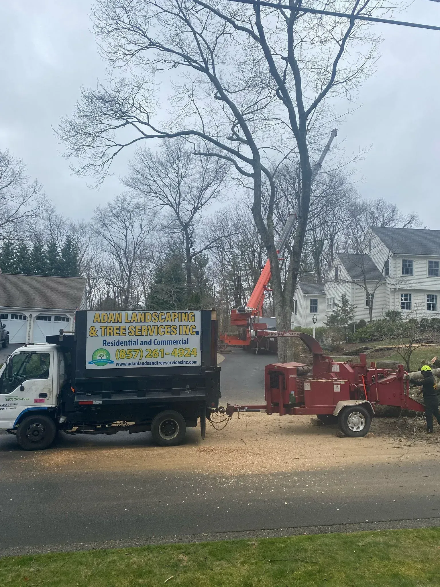 Truck-mounted stump grinder working near a tree on a residential street, with a house in the background.