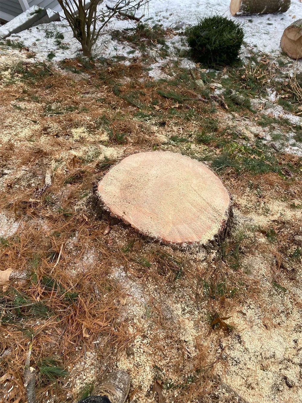 Round beige rock or concrete slab on snowy, patchy ground with grass and dirt around it