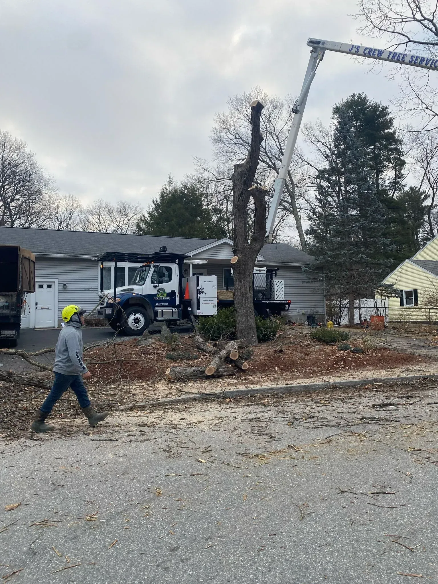 Utility crew trimming a tree beside a house, with a bucket truck and a worker on the ground.