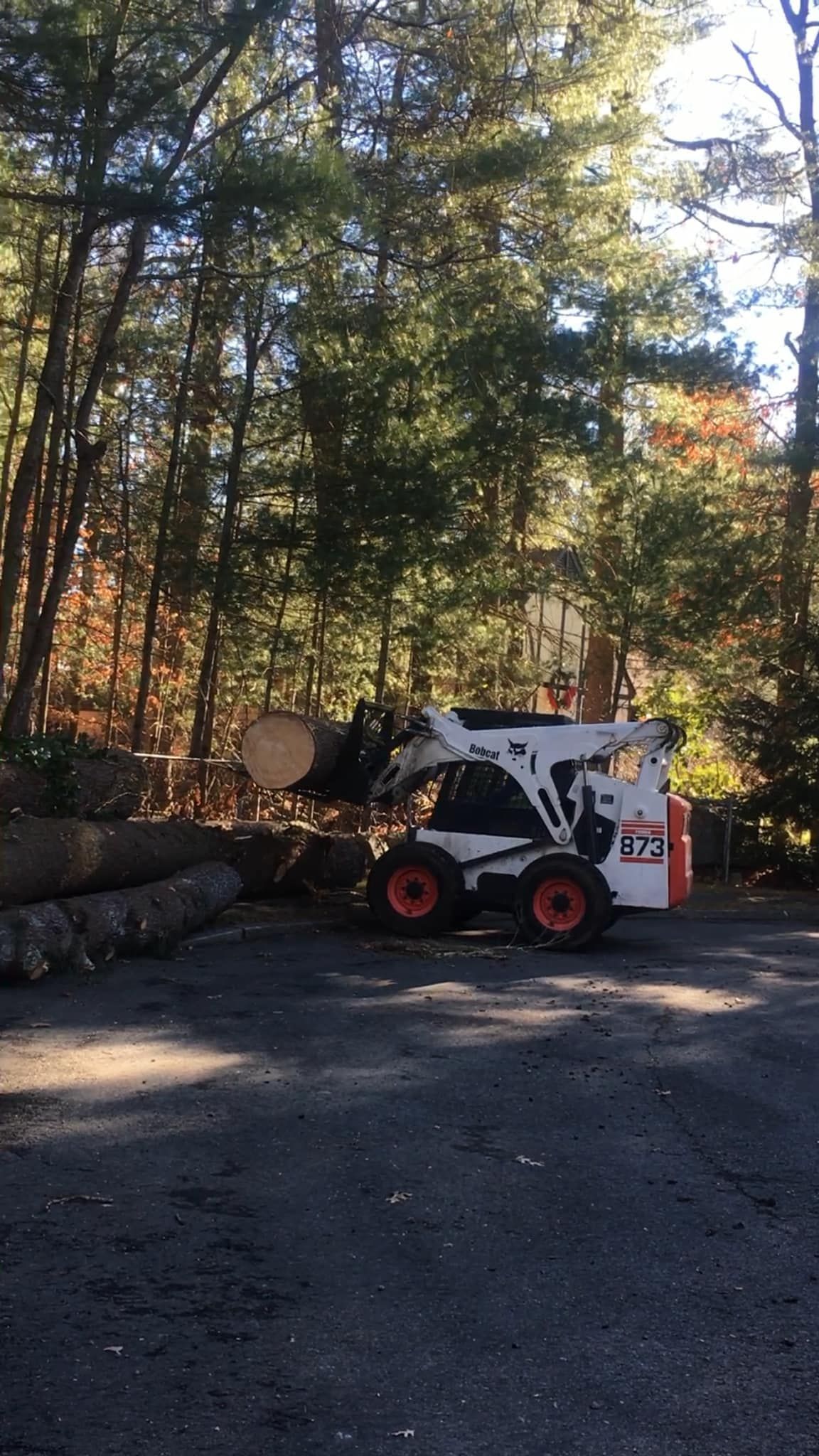Compact skid steer beside stacked logs in a wooded driveway, with autumn trees in the background