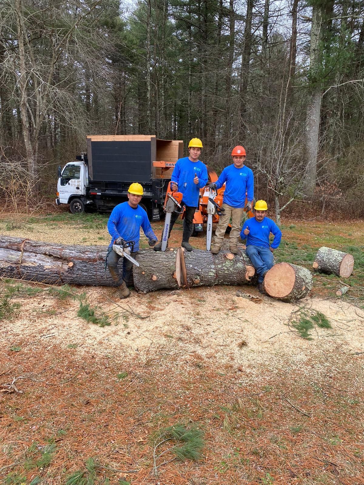 Tree workers in blue uniforms and hard hats posing with a felled log beside a truck in a wooded area